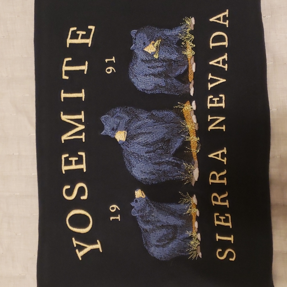 Brandy Melville oversized Yosemite t shirt